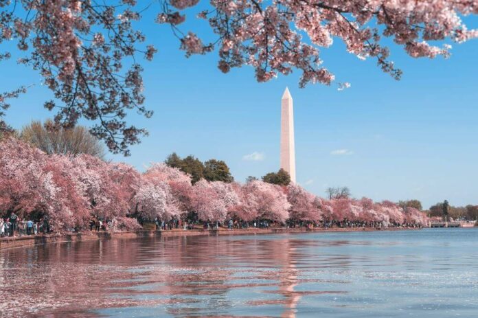 The Ultimate Guide to Moving to Washington, DC